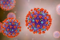 Biến chủng mới "Cicada" của COVID-19 đã xuất hiện và lây lan ở 23 quốc gia nhưng vẫn trong tầm kiểm soát. Ảnh: Creaders.