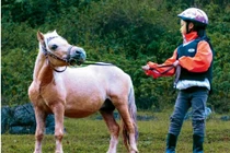 Nuôi ngựa lùn làm thú cưng đang trở thành trào lưu trong giới trẻ con nhà giàu. Ảnh: Zhihu.