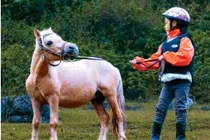 Nuôi ngựa lùn làm thú cưng đang trở thành trào lưu trong giới trẻ con nhà giàu. Ảnh: Zhihu.