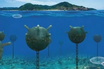 Iran đã có kế hoạch phong tỏa eo Hormuz bằng thủy lôi. Ảnh: Ifeng.