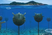 Iran đã có kế hoạch phong tỏa eo Hormuz bằng thủy lôi. Ảnh: Ifeng.