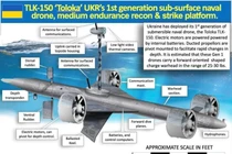 Thiết bị lặn không người lái (UUV) Toloka TLK-150 của Ukraine. Ảnh: Wforum.