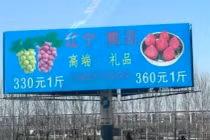 Biển quảng cáo Nho Vua và Dâu tây Vua dựng ven đường cao tốc. Ảnh: Worldjournal.