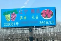 Biển quảng cáo Nho Vua và Dâu tây Vua dựng ven đường cao tốc. Ảnh: Worldjournal.