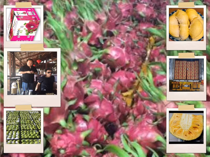 Ông Lý, thương lái Trung Quốc: 