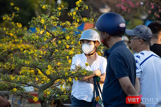 Chở Xuân về nhà.