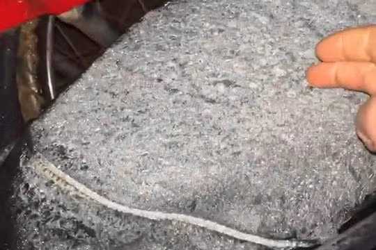 Băng giá xuất hiện trên các yên xe máy vào khoảng 4h sáng 11/1 tại làng Tắc Lang, thôn 3, xã Trà Linh. Ảnh CTV.