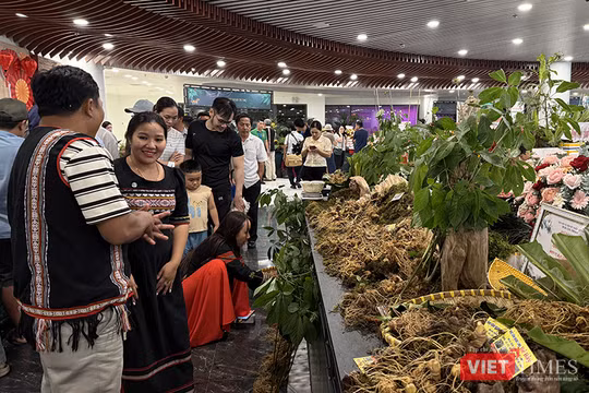 Ông Hồ Quang Bửu, Phó Chủ tịch UBND TP Đà Nẵng phát biểu khai mạc Lễ hội Sâm Ngọc Linh và Dược liệu quốc tế Đà Nẵng 2026. Ảnh Xuân Mai.