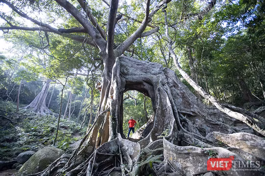 Đà Nẵng chính thức tung chuỗi sản phẩm du lịch “Đà Nẵng - Chạm về Nguyên bản” nhằm thu hút du khách, góp phần thúc đẩy phát triển kinh tế Đà Nẵng đạt mục tiêu tăng trưởng 2 con số trong năm 2026.