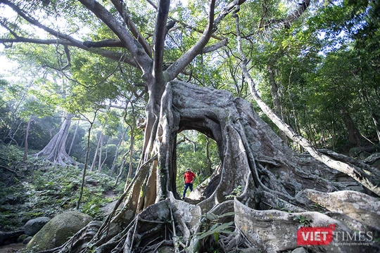 Đà Nẵng chính thức tung chuỗi sản phẩm du lịch “Đà Nẵng - Chạm về Nguyên bản” nhằm thu hút du khách, góp phần thúc đẩy phát triển kinh tế Đà Nẵng đạt mục tiêu tăng trưởng 2 con số trong năm 2026.
