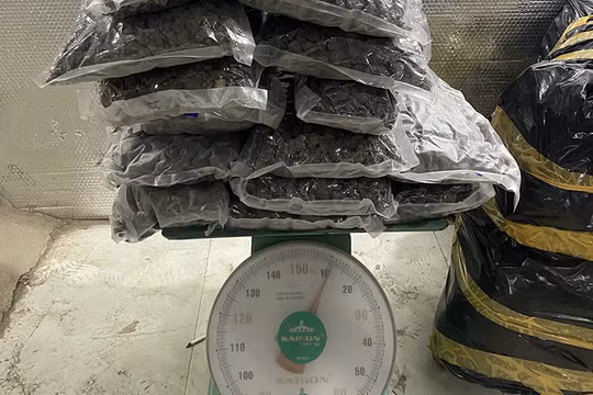 Tang vật thu giữ là thảo mộc khô nghi là ma túy loại cần sa của đường dây mua bán ma tuý bằng tiền điện tử qua mạng xã hội do vợ chồng Nam và Vọng tổ chức.