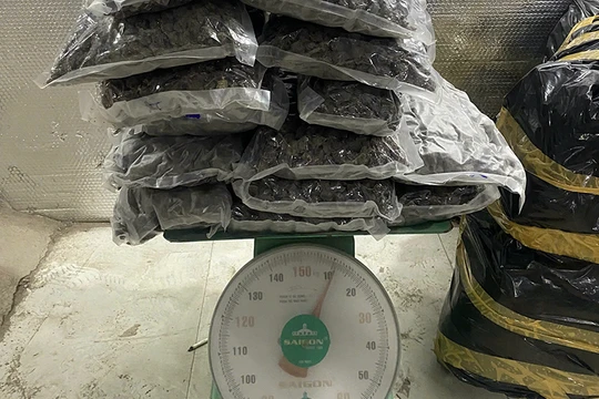 Tang vật thu giữ là thảo mộc khô nghi là ma túy loại cần sa của đường dây mua bán ma tuý bằng tiền điện tử qua mạng xã hội do vợ chồng Nam và Vọng tổ chức.