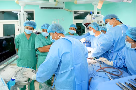 Chuỗi thành công liên tiếp trong lĩnh vực ghép tế bào gốc và ghép tạng đã khẳng định năng lực làm chủ toàn diện các kỹ thuật y học chuyên sâu của Bệnh viện Trung ương Huế.