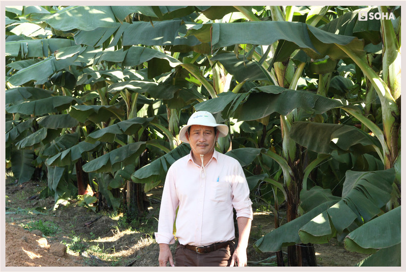 Chú Hưng (tên thường gọi của ông Nguyễn Quan Anh - Phó Tổng giám đốc HAGL Agrico, Tổng giám đốc HNG Campuchia) Chú Hưng (tên thường gọi của ông Nguyễn Quan Anh - Phó Tổng giám đốc HAGL Agrico, Tổng giám đốc HNG Campuchia)