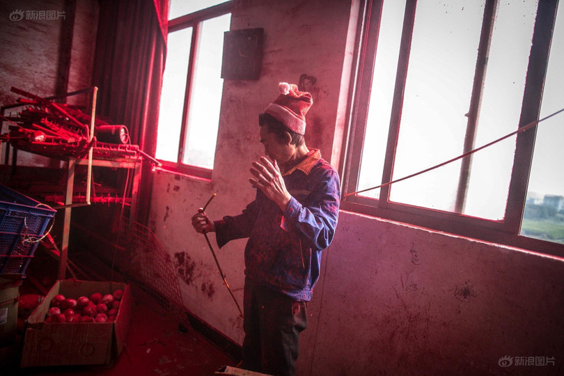 Cha anh Wei luôn phải đội một chiếc mũ ông già Noel trong quá trình làm việc để ngăn tóc biến thành màu đỏ. Ảnh: 1MW Cha anh Wei luôn phải đội một chiếc mũ ông già Noel trong quá trình làm việc để ngăn tóc biến thành màu đỏ. Ảnh: 1MW