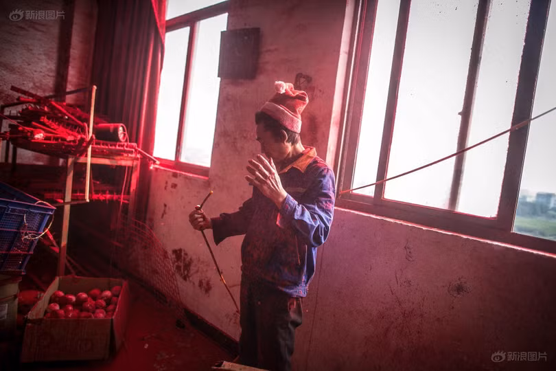 Cha anh Wei luôn phải đội một chiếc mũ ông già Noel trong quá trình làm việc để ngăn tóc biến thành màu đỏ. Ảnh: 1MW