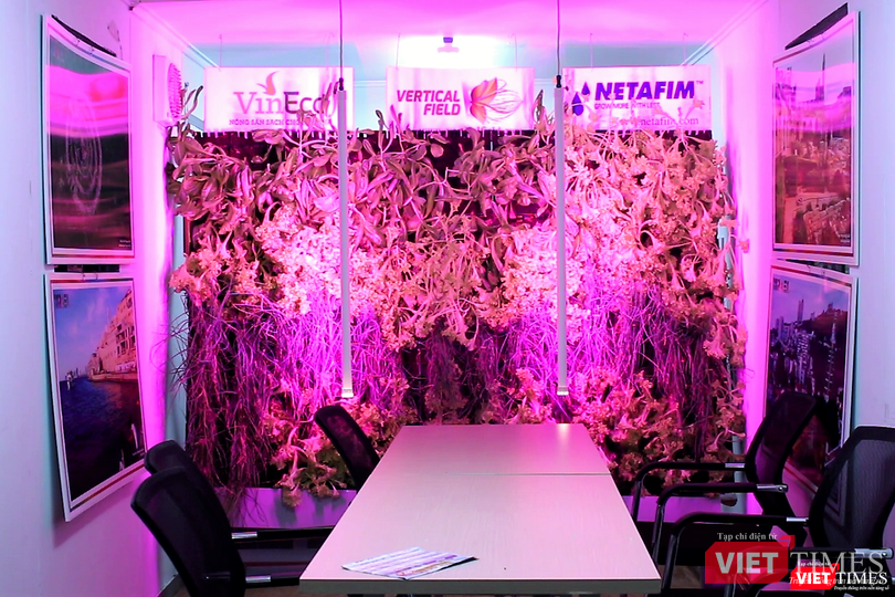 Mô hình trồng rau sạch, tiết kiệm diện tích cho đô thị thông minh của Isarel.