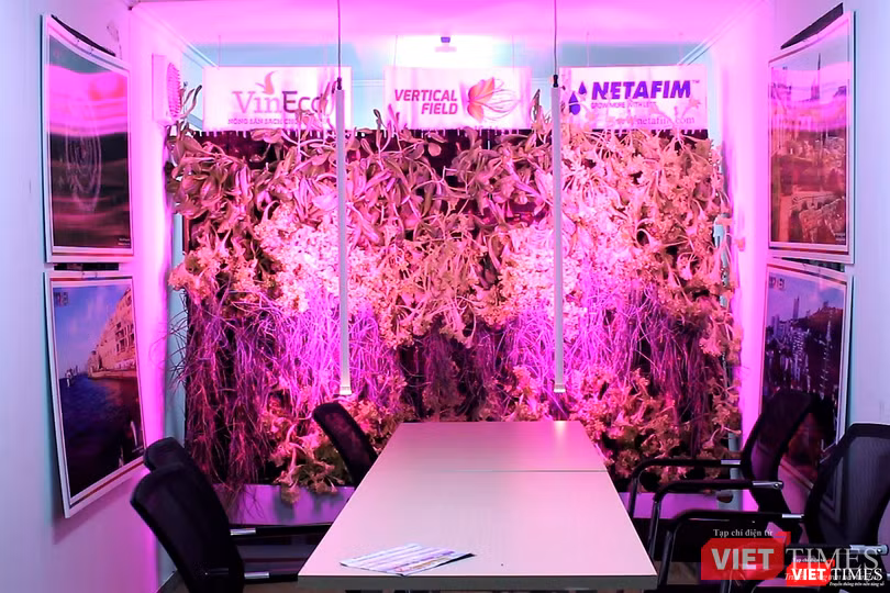 Mô hình trồng rau sạch, tiết kiệm diện tích cho đô thị thông minh của Isarel. Mô hình trồng rau sạch, tiết kiệm diện tích cho đô thị thông minh của Isarel.