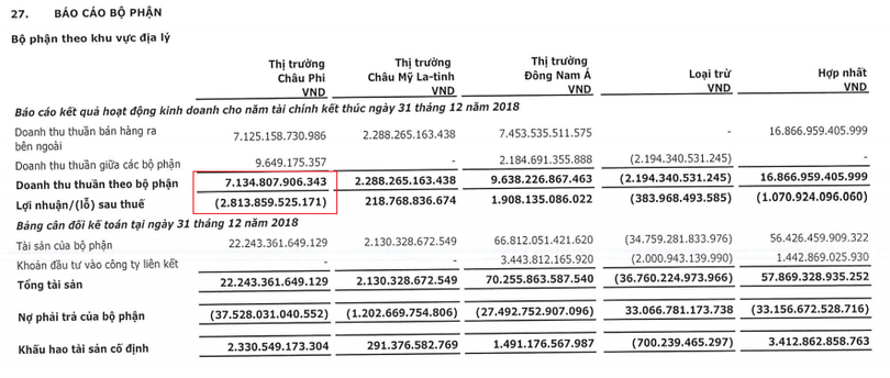 Thị trường Đông Nam Á đóng góp hơn một nửa vào doanh thu thuần của Viettel Global trong năm 2018 (Nguồn: VGI)