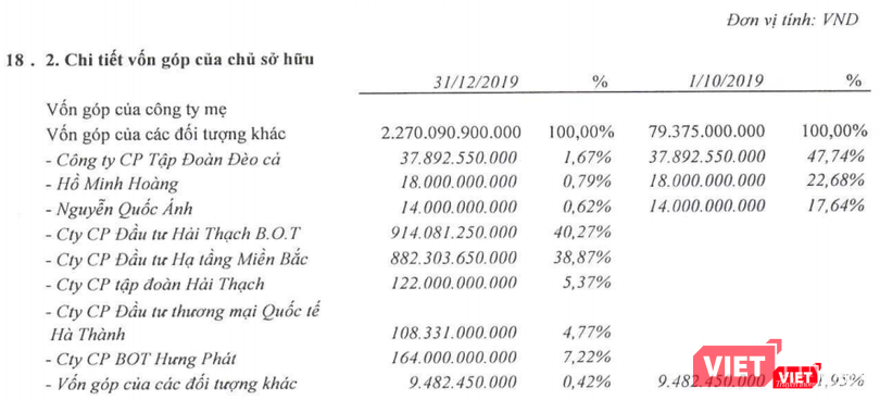 Cơ cấu sở hữu tại CTCP Đầu tư Hạ tầng Giao thông Đèo Cả cuối năm 2019 (Nguồn: BCTC Hợp nhất Quý 4/2019 của DII)