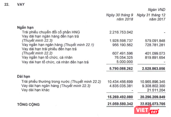 Biến động dư nợ vay của HAG tính tới cuối Quý 3/2018 (Nguồn: HAG)