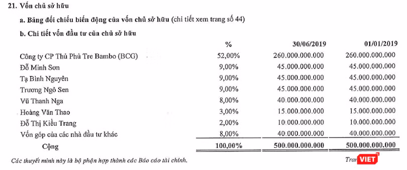 Cơ cấu sở hữu của CTCP Bảo hiểm Viễn Đông tính đến ngày 30/6/2019 Cơ cấu sở hữu của CTCP Bảo hiểm Viễn Đông tính đến ngày 30/6/2019
