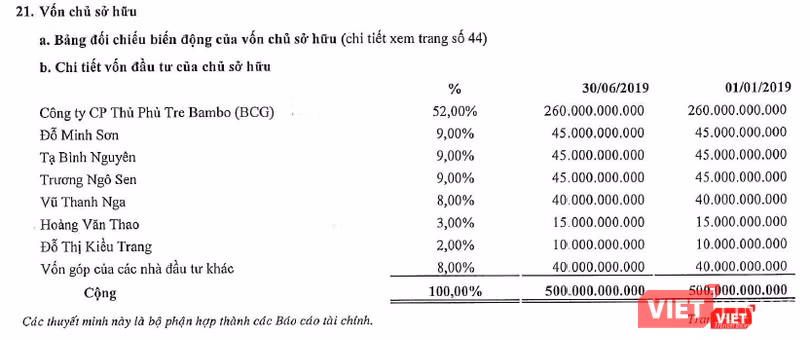 Cơ cấu sở hữu của CTCP Bảo hiểm Viễn Đông tính đến ngày 30/6/2019