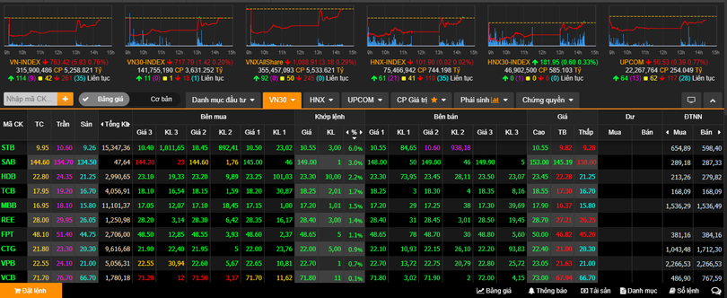 Sắp xanh trở lại với nhiều cổ phiếu vốn hóa lớn (Ảnh chụp màn hình - Nguồn: VNDS)