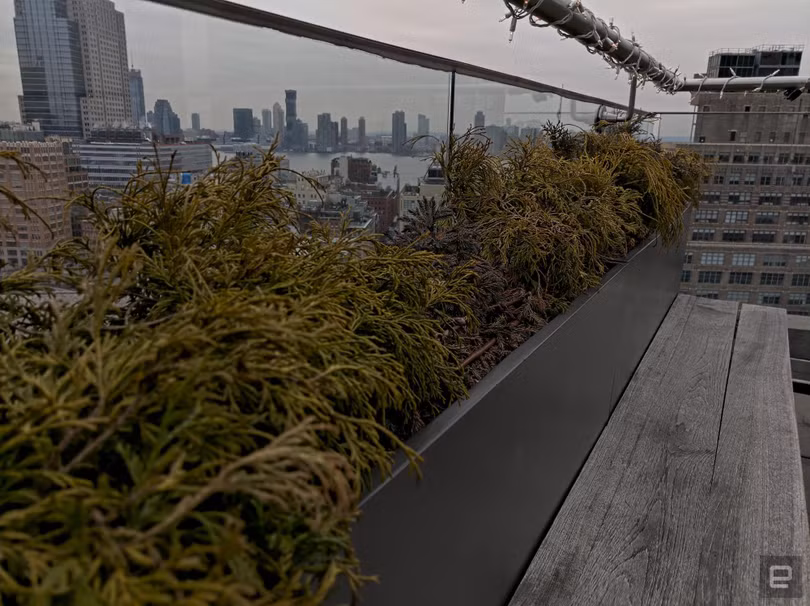 Ảnh chụp bằng Nokia 9 PureView. Ảnh: Engadget