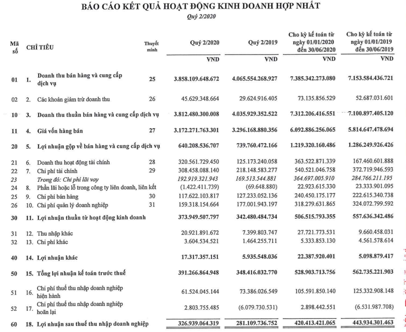 Kết quả kinh doanh của Gelex nửa đầu năm 2020 (Nguồn: GEX)