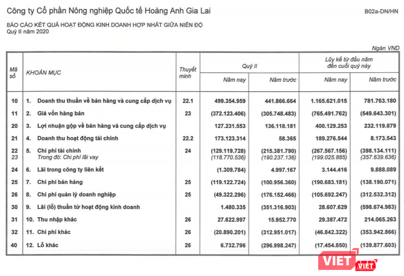 Báo cáo kết quả kinh doanh của HAGL Agrico (Nguồn: HNG)