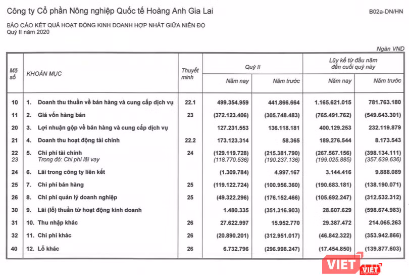 Báo cáo kết quả kinh doanh của HAGL Agrico (Nguồn: HNG)