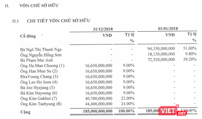 Cơ cấu cổ đông của Vina Securities tính đến thời điểm 31/12/2018 (Nguồn: Vina Securities)