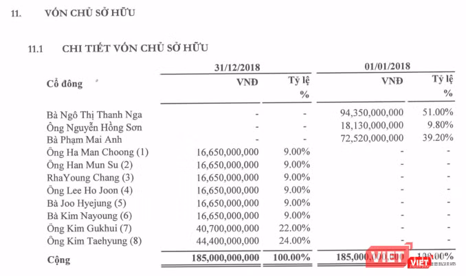 Cơ cấu cổ đông của Vina Securities tính đến thời điểm 31/12/2018 (Nguồn: Vina Securities)