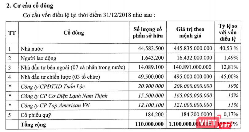 Cơ cấu cổ đông của CC1 chốt ngày 31/12/2018 (Nguồn: CC1)