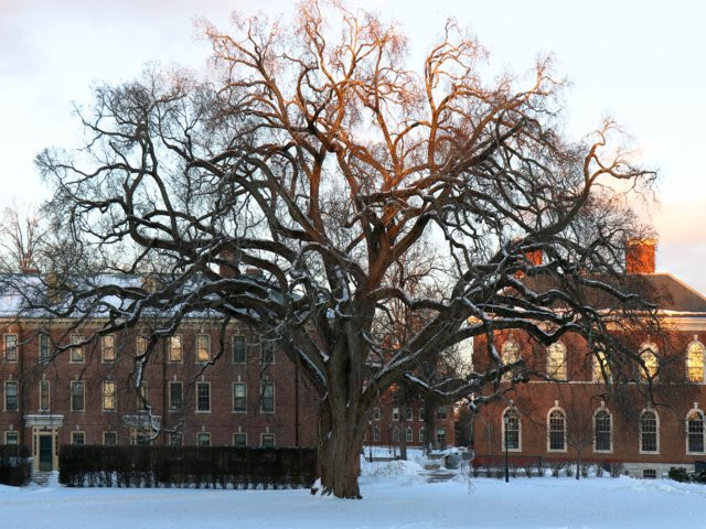 Ảnh: Fast Company Ảnh: Fast Company