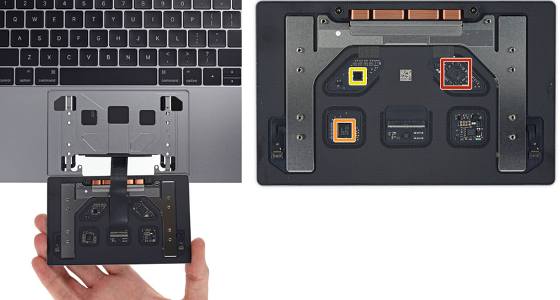 Ảnh: iFixit Ảnh: iFixit