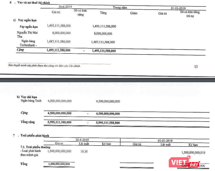 Nguồn vốn nhà băng mà NewCo nhận được trong nửa đầu năm 2019 (Nguồn: BCTC riêng 6 tháng 2019 của NewCo)