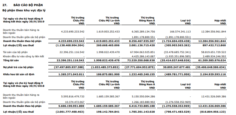 Báo cáo kết quả kinh doanh 9T/2019 theo khu vực địa lý của Viettel Global (Nguồn: VGI)