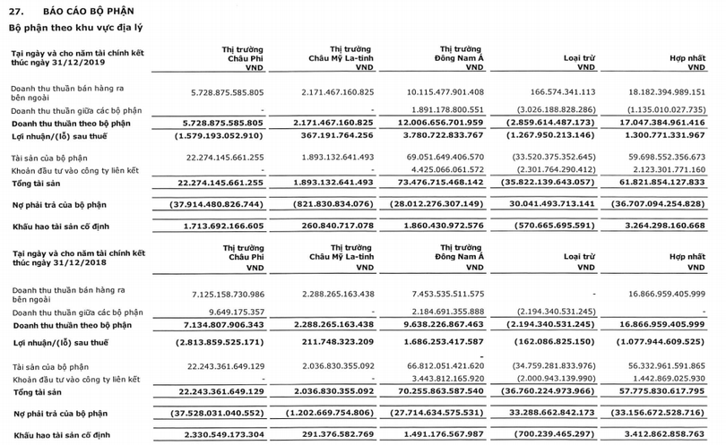 Cơ cấu doanh thu và lợi nhuận của VGI theo khu vực địa lý (Nguồn: BCTC hợp nhất Quý 4/2019 của VGI)