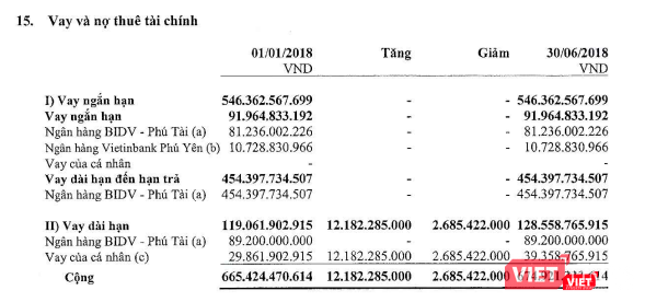 Thực trạng các khoản nợ của Công ty cổ phần Thuận Thảo tính đến ngày 30/6/2018 (Nguồn: GTT)