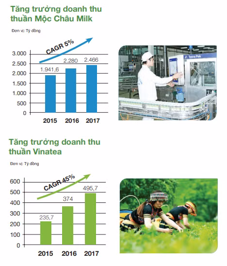Tăng trưởng doanh thu thuần của Mộc Châu Milk và Vinatea giai đoạn 2015 - 2017 (Nguồn: GTN)