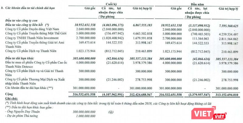 Các khoản đầu tư tài chính dài hạn tính đến ngày 30/6/2018 của CTCP Tập đoàn Truyền thông Thanh Niên (Nguồn: Thanh Niên Media Corp)