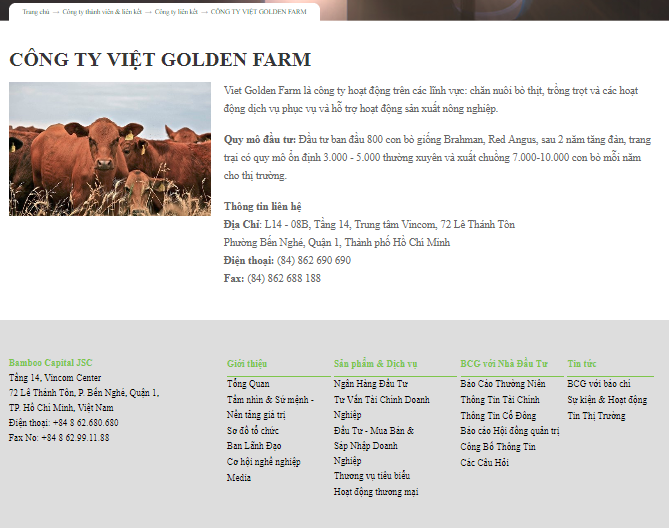 Bamboo Capital vẫn giới thiệu Viet Golden Farm là một công ty hoạt động trong lĩnh vực chăn nuôi (Nguồn: bamboocap.com.vn)