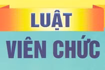 Bố trí, xếp lương viên chức theo vị trí việc làm trước ngày 1/7