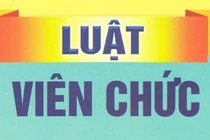 Bố trí, xếp lương viên chức theo vị trí việc làm trước ngày 1/7