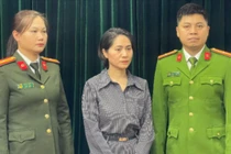 Vì sao giám đốc công ty tổ chức show ca nhạc "Về đây bốn cánh chim trời" bị bắt? 