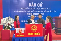 Cử tri bỏ phiếu tại khu vực bỏ phiếu số 3 xã Bình Minh, TP Hà Nội sáng 15/3. Ảnh: Xuân Lực