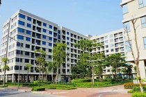 Mua nhà ở xã hội: Người dân tự kê khai thu nhập, Nhà nước hậu kiểm