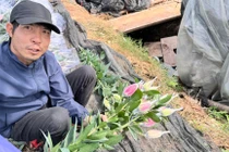 Người dân trồng hoa ở Tây Tựu tất bật bó hoa ly cho khách tại vườn. Ảnh: Q.A.